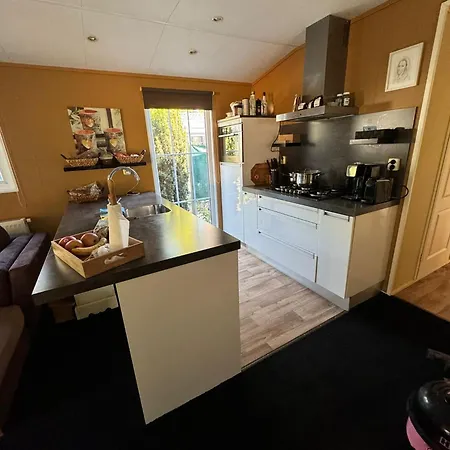 Chalet Bpw 1597 - Bospark Wolfsven